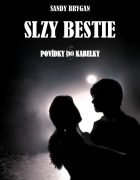 SLZY BESTIE – NOVINKA SANDY BRYGAN